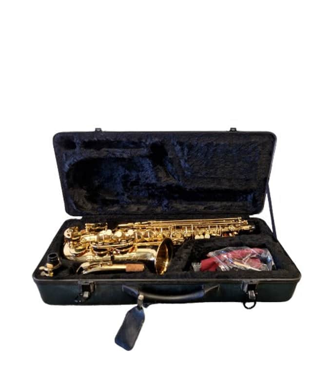Rikter Alto - Saxophone - Excellent w/ Hard Case image 1