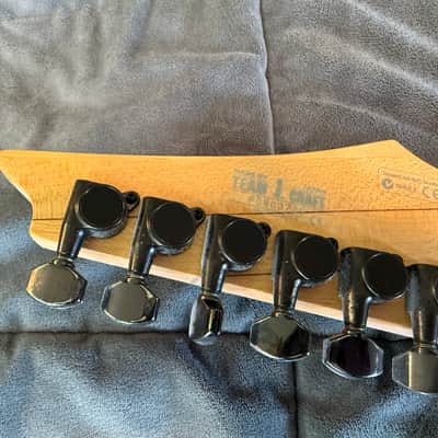 Ibanez RGR1570-SDB Prestige 2007 - 2008 - Suede Black image 5