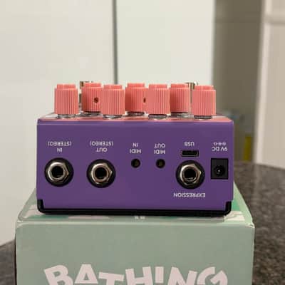 Old Blood Noise Endeavors Bathing Liminal Delay 2025 - Present - Various image 6
