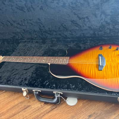Tom Anderson Guitarworks Crowdster Player image 10