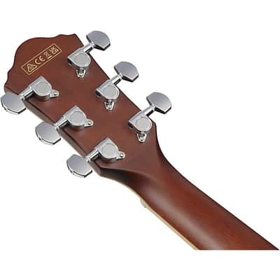 Ibanez - AEGA250 250th Anniversary - Acoustic-Electric Guitar (AEGA250) image 5