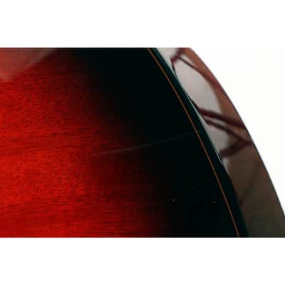 Breedlove Pursuit Exotic S Concert CE Myrtlewood Acoustic-Electric Guitar Regular Sunset Burst image 5
