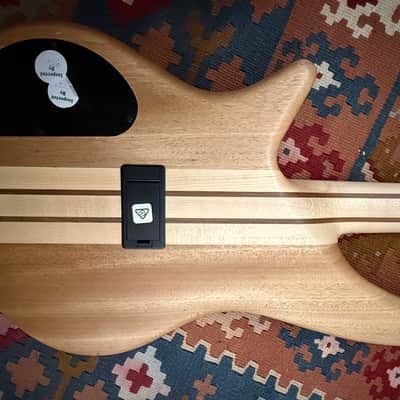 Jackson Pro Series Spectra Bass SBP IV CJ TBB - Firestorm Fade image 12