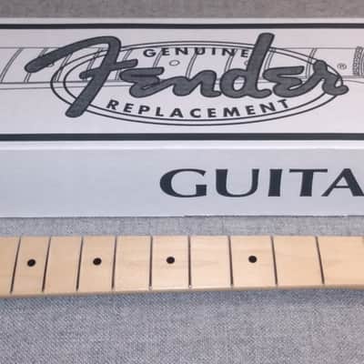 Immagine Fender Stratocaster Classic 70s Maple Neck - 1