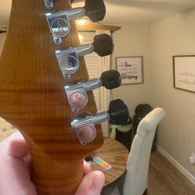 Ayala Guitars The BastardCaster 2023 - Sun burst image 5