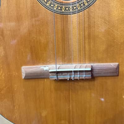 Giannini Serie Estudo Acoustic Guitar - Brazil image 4