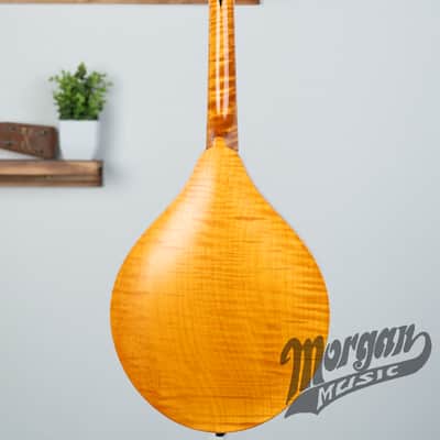 Collings MTO Mandolin- Oval Hole | Reverb