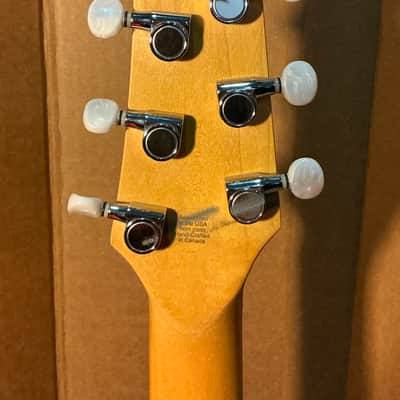 Godin Radiator Electric Guitar image 6