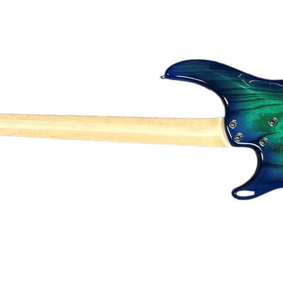 Dingwall Combustion 4 (3 Pickup) Whalepool Burst / Pau Ferro *In Stock** image 7
