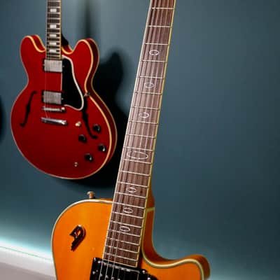 Duesenberg Star Player TV Honey 2018 image 8