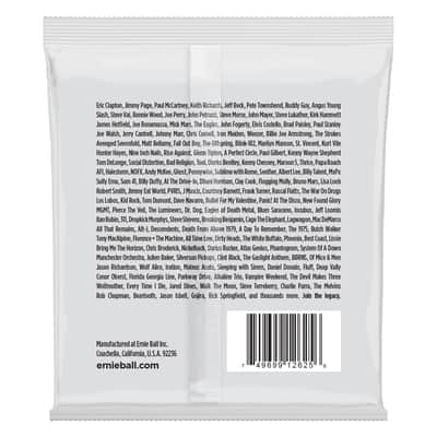 Ernie Ball 2625 Regular Slinky 8-String Electric Guitar Strings image 2