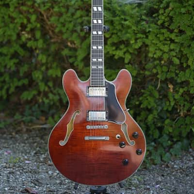 Eastman T59/TV - Vintage Amber image 14