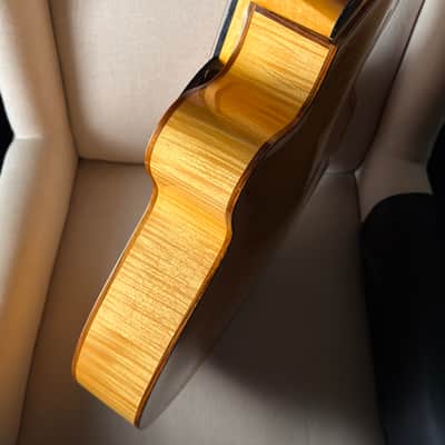 Eastman PG2 Pagelli Archtop 17" image 10