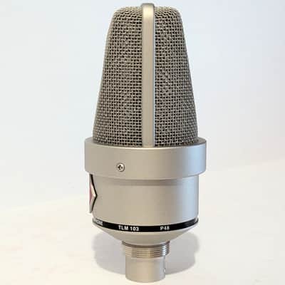 Immaculate TLM 103 image 5