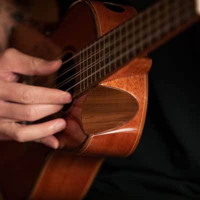 Ortega Eclipse-TE8 Custom Built Series Solid Mahogany Top Okume Neck 8-String Tenor Ukulele w/Gig Bag image 17