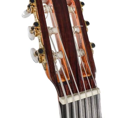 6 String Contrabass Guitar (Octave Bass) - Esteve PS75 - All Solid Wood/Cedar/Indian Rosewood - 750mm Scale Length image 21