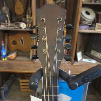 Unlabeled Bowlback Mandolin Early 1900's image 7