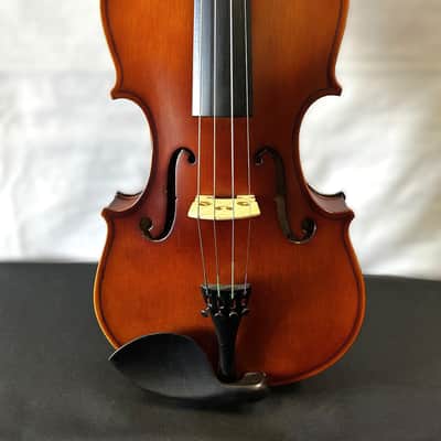 SofiaMari 310E 16 Viola image 4