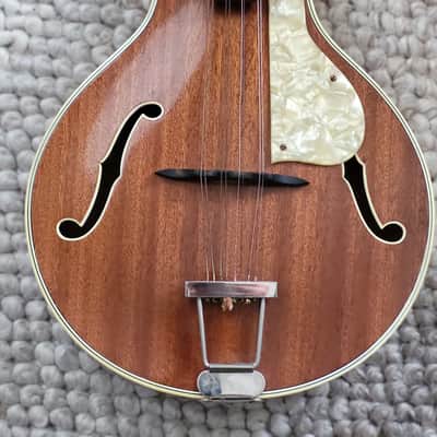 Alte gitarre Guitar Mandoline Hofner Höfner 545 1950s image 3