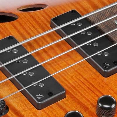 Ibanez SRD900 FBTL Bass Workshop Fretless Electric Bass. Brown Topaz Burst Low Gloss image 7