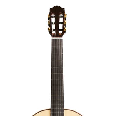 Cordoba C12 SP, 6541 image 4