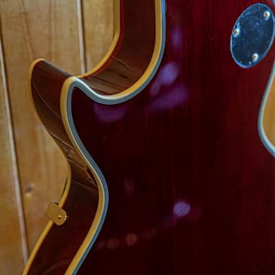 AIO Wolf WLP 750T Electric Guitar - Cherry Burst w/Gator GWE-LPS-BLK Case image 17