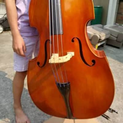 Samuel Eastman VB80 1/4 size acoustic bass 2013 amber image 1