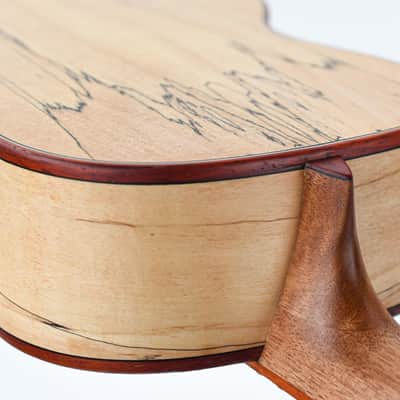 Cordoba 24T Tenor Spruce Ukuele image 10