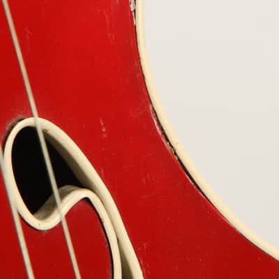 Wandre Framez Naika Cutaway Upright Bass 1960 image 8