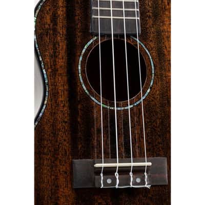 VOLT Sienna Concert Ukulele image 8