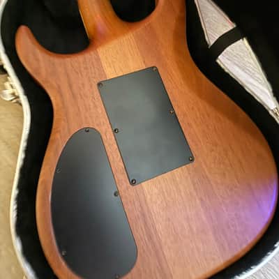 Carvin DC 127 image 11