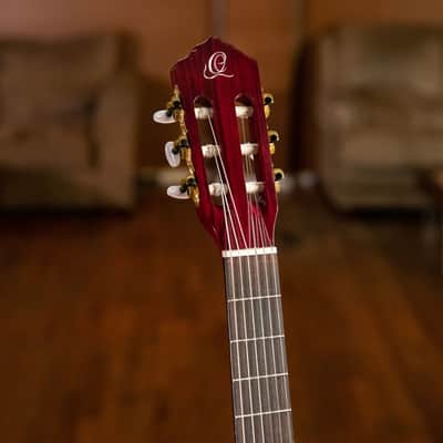 Ortega R131SN-WR Family Series Pro Solid Cedar Top Mahogany Neck Nylon 6-String Classical Acoustic Guitar w/Gig Bag image 23