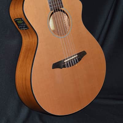 Breedlove Passport N250/C0e ~2014 Natural image 2
