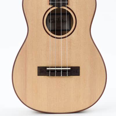 Cordoba 24B Spalted Maple Spruce Baritone Ukulele image 5