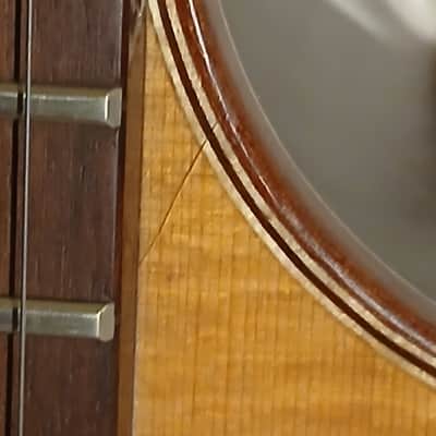 Washburn WD250SWCE SOLID ROSEWOOD BACK/SIDES SOLID SPRUCE TOP Acoustic Electric Guitar. image 14
