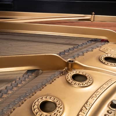 Steinway And Sons B Piano 1905 - Mahogany image 18