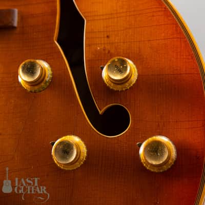 Gibson Byrdland 1969 image 4