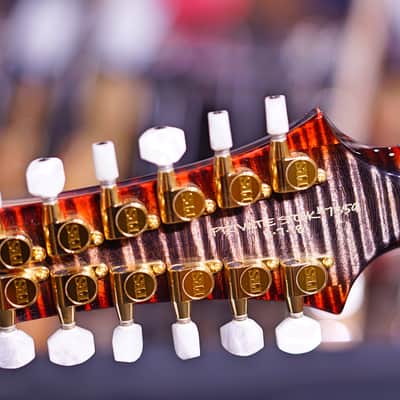 PRS Doubleneck Charcoal Cherry Private Stock image 10