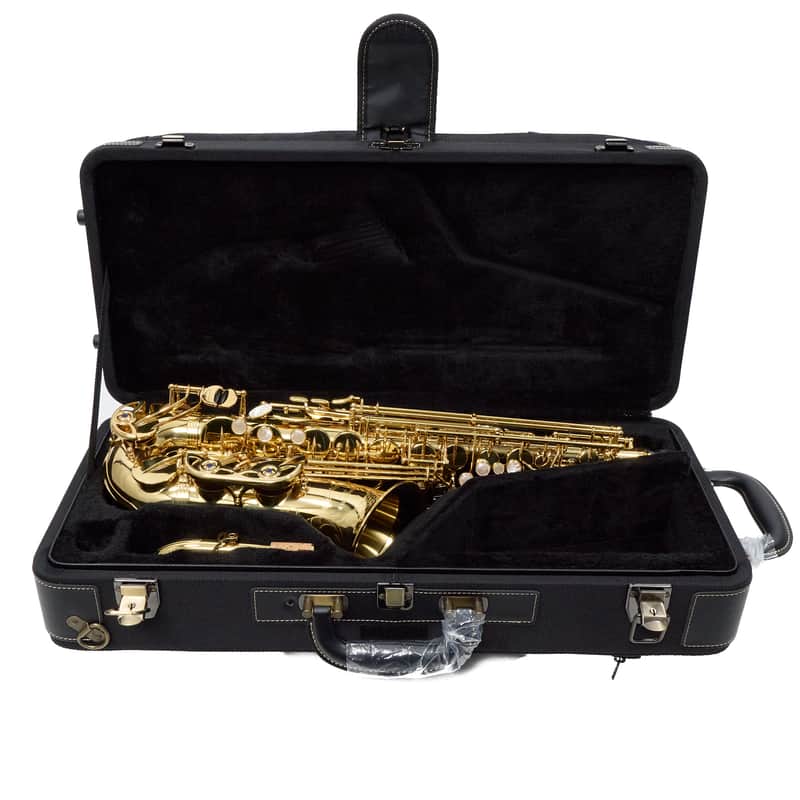 Yanagisawa Model AWO10 Elite Alto Saxophone SUPERB image 1