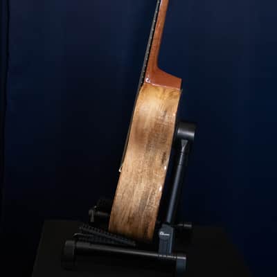 Spalted Mango Concert #22022 image 6