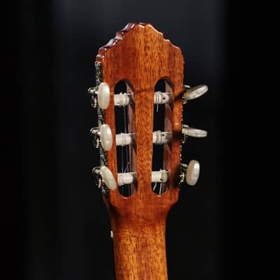 Ortega R200SN Traditional Series Cedar Top Mahogany Neck Nylon 6-String Classical Acoustic Guitar w/Gig Bag image 21