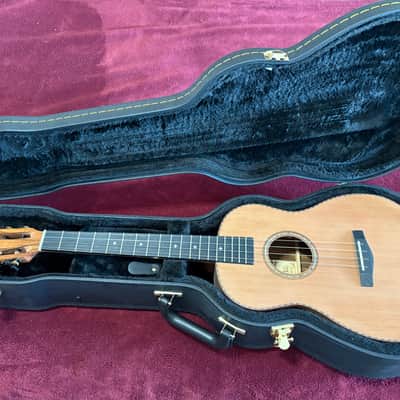 Aloha 858500CE-Baritone w/ HC 2023-2024 - Satin- w/HC image 10