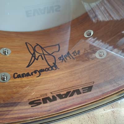 15x6.5 Canary wood Exotic steam bent semi-solid snare drum by Erie drums and shells image 4