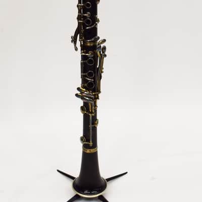 Buffet R13 B 660 Professional Bb Clarinet image 2