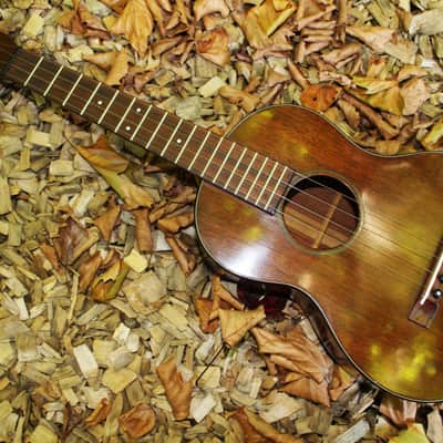 Vintage Martin 50s Tenor Ukulele image 13