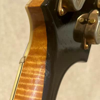 D'Angelico New Yorker Excel Owned by Brian Setzer image 24