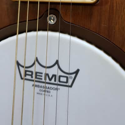 Claudio Menci Custom Made Electro-Acoustic Guitar - Camden Guitars 2022 image 4