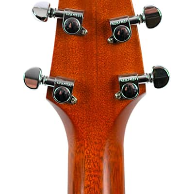 2001 Breedlove Limited Edition SC25/K Custom Concept Deep Body #6 of 10 Cedar/Koa Natural #2444 image 6