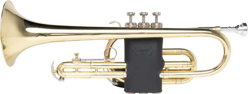 Valve Guard for Trumpet image 1