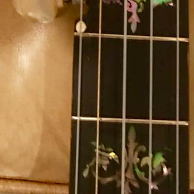FARLAND Artist's Grand Number 2 Five String Banjo SALE PENDING DO NOT BUY image 13